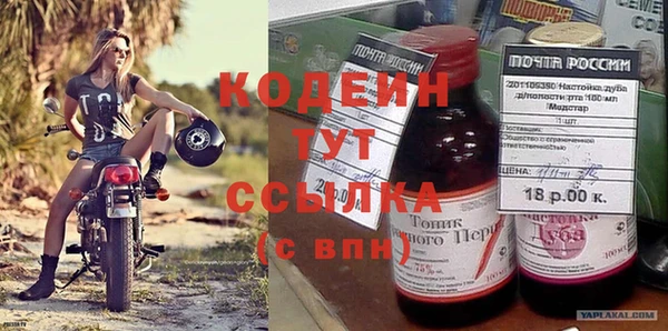 гидра Надым