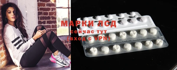 гидра Надым