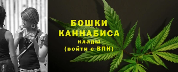 гидра Надым