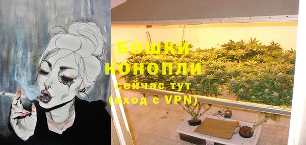 гидра Надым