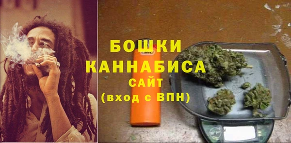 гидра Надым
