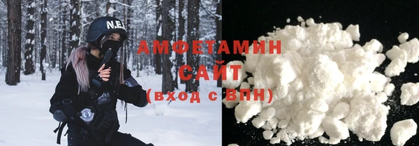 гидра Надым
