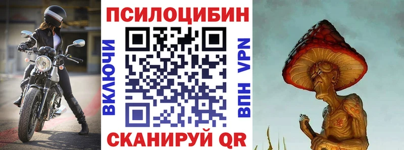 купить наркотики сайты  Усть-Лабинск  Галлюциногенные грибы мицелий 