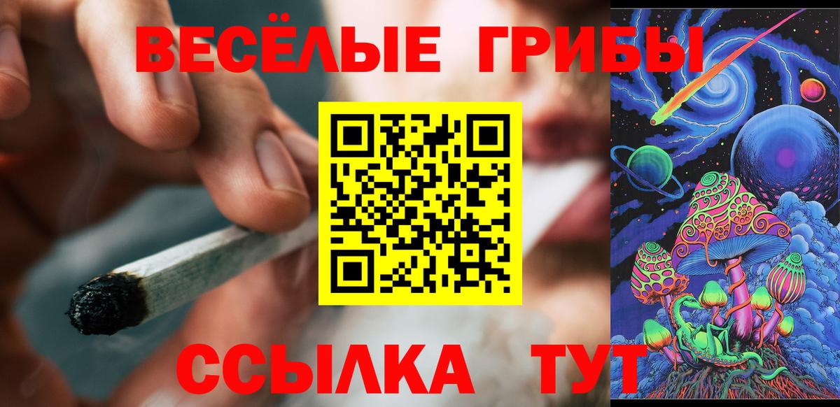 Галлюциногенные грибы Psilocybine cubensis Усть-Лабинск