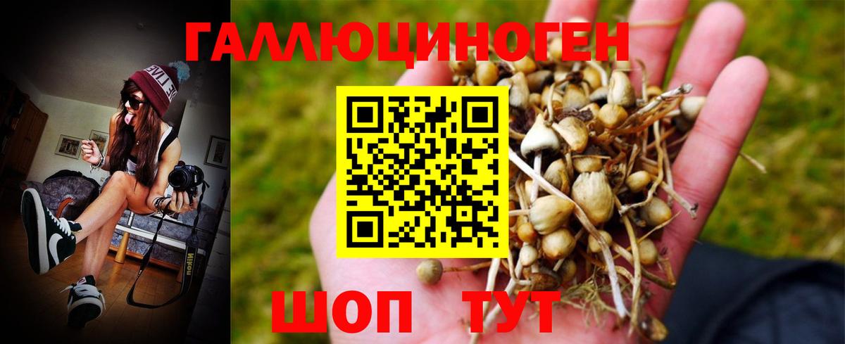 Псилоцибиновые грибы MAGIC MUSHROOMS  что такое   Усть-Лабинск  Псилоцибиновые грибы ЛСД 