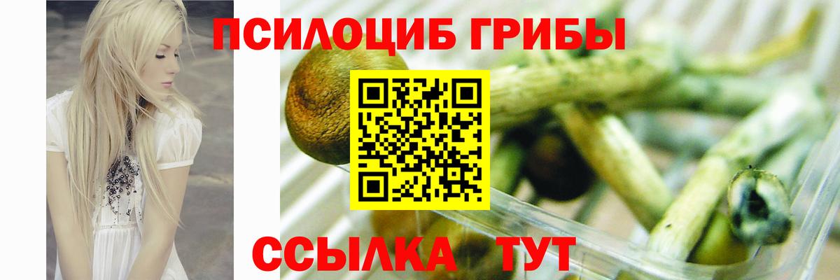 Усть-Лабинск  Псилоцибиновые грибы Psilocybe  Вход с VPN 